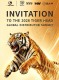 Приглашение на глобальный саммит дистрибьюторов Tiger Head 2026 года.