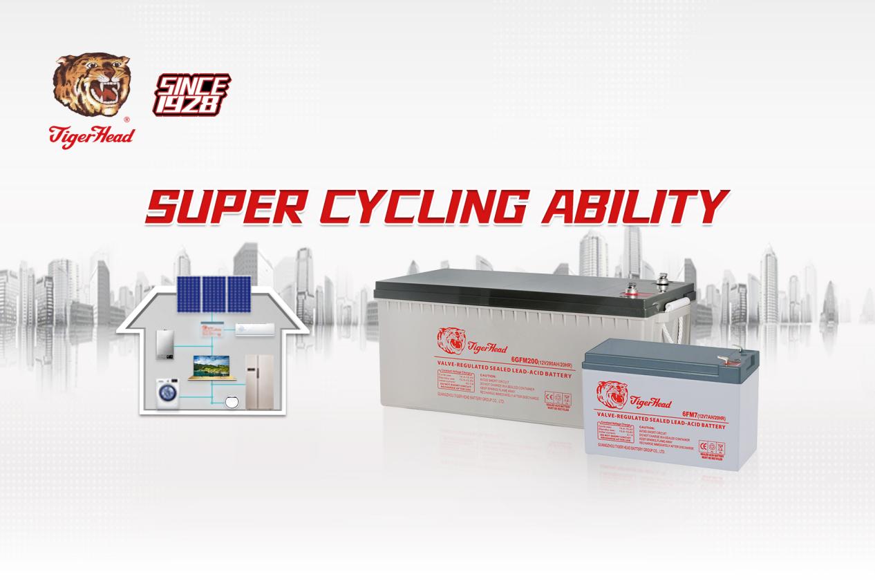 солнечная батарея - голова тигра